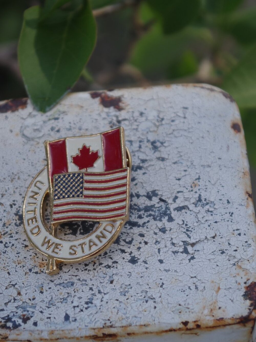 United We Stand Flags of Canada and United States of America Enamel Metal Lapel